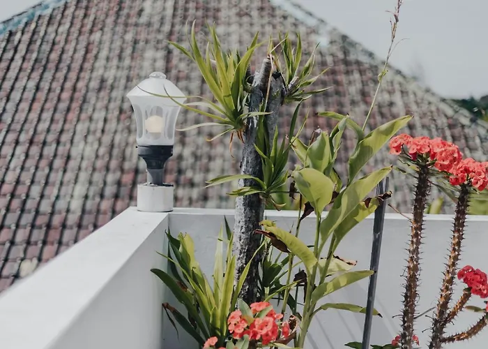Villa Cozy 2br Private Pool Villa, Oberoi, Seminyak, Bali